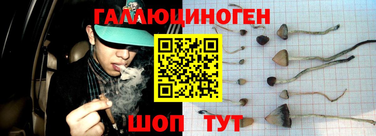 Галлюциногенные грибы ЛСД  Вход с VPN  Муравленко  Псилоцибиновые грибы мицелий 